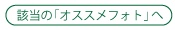 該当のオススメフォトへ